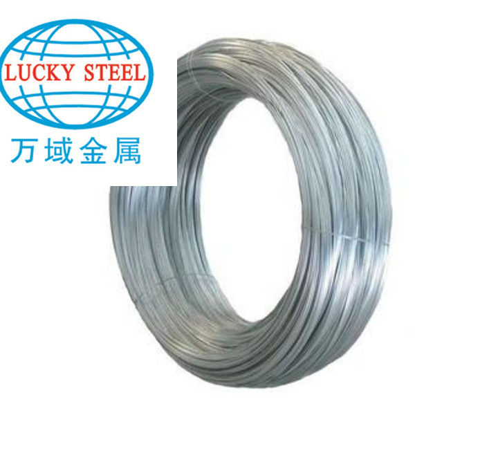 steel wire 3.JPG